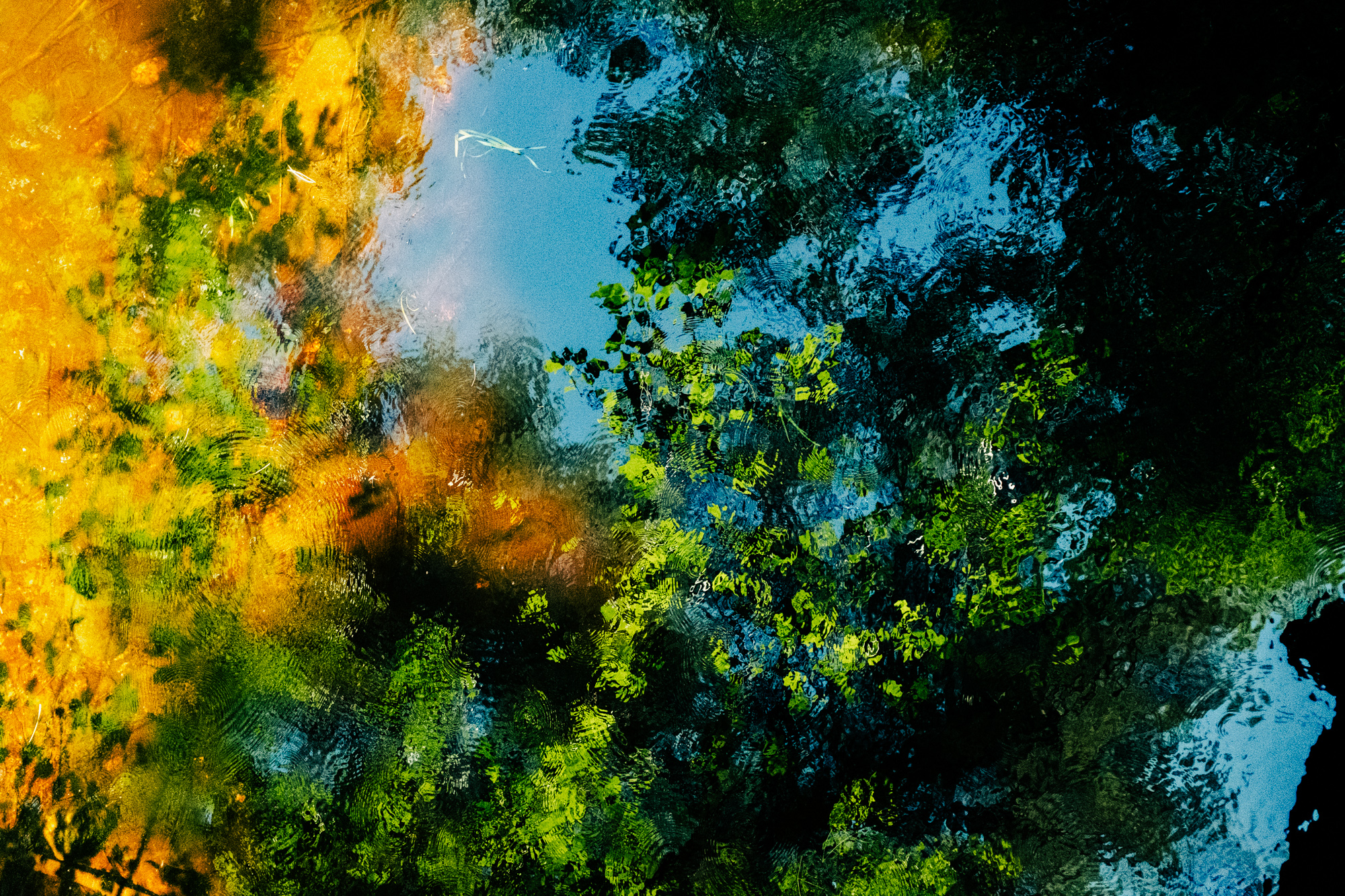 Farm hunting and changing seasons