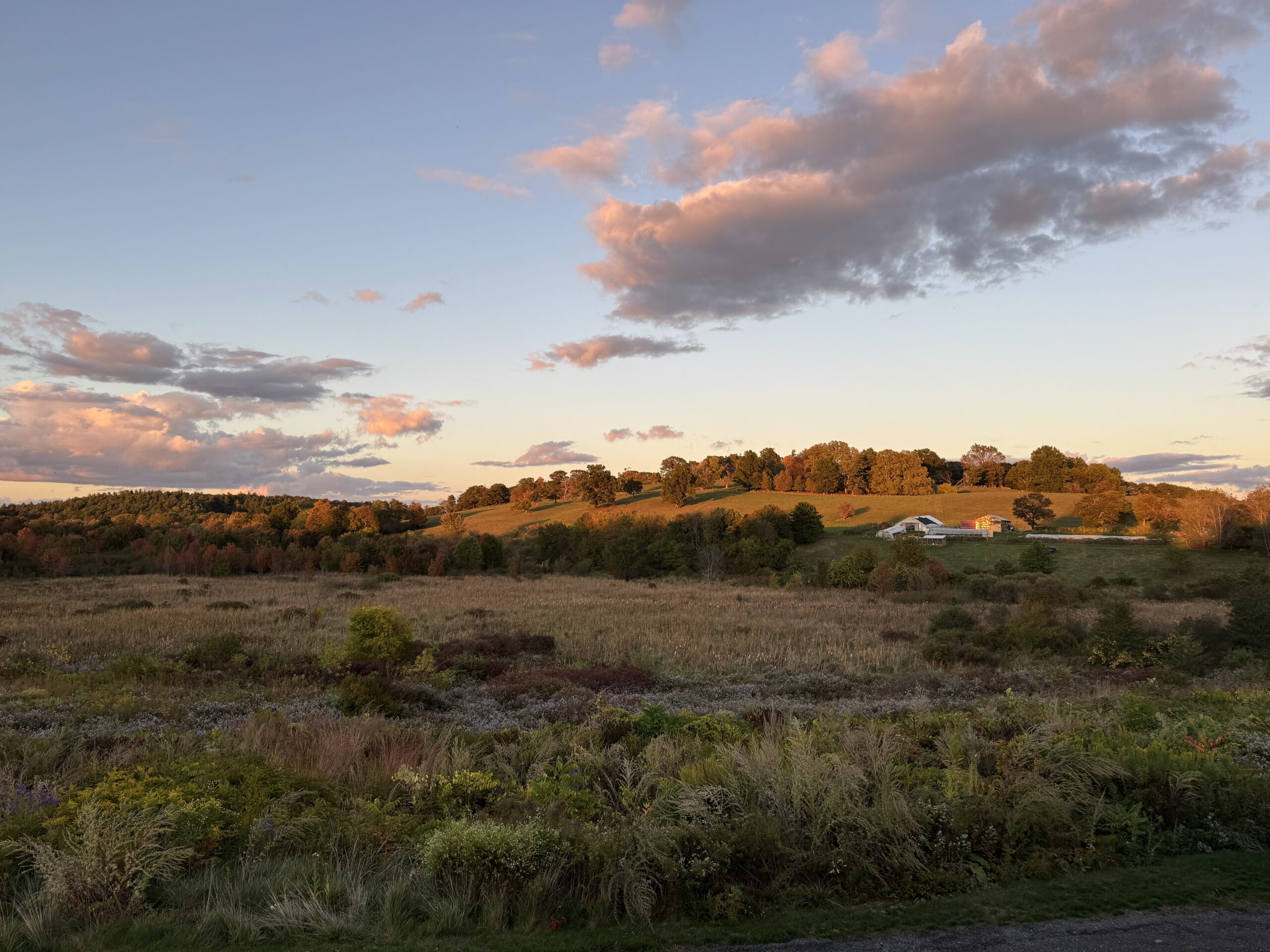 Farm found? And plans