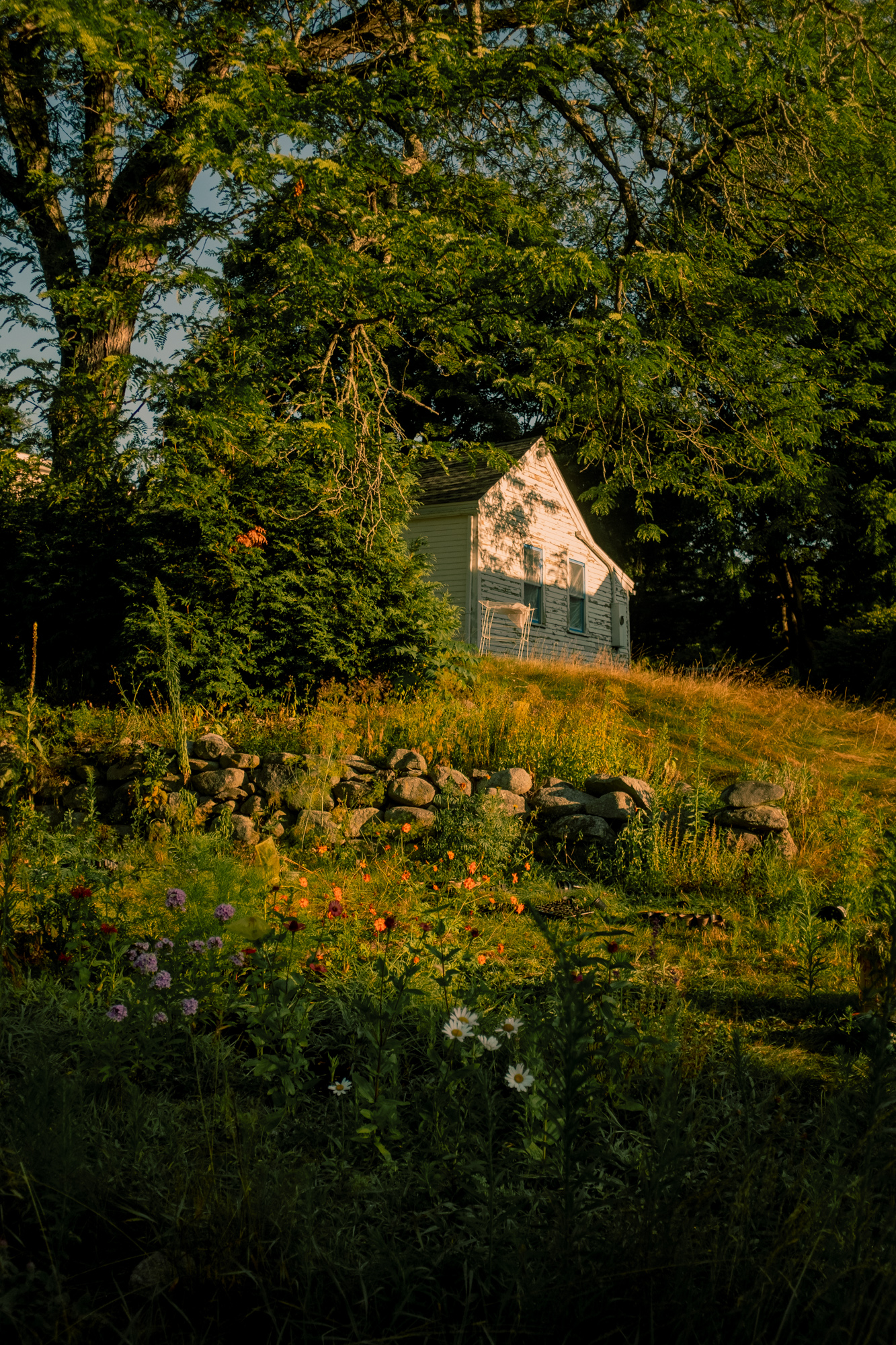 End of Summer Reflections